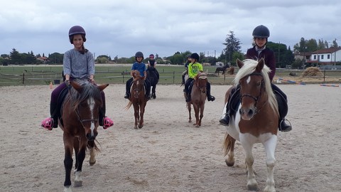 cours poneys
