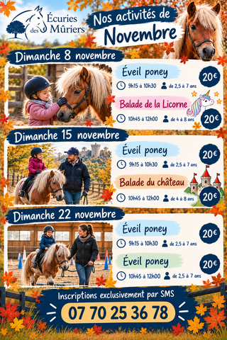 Activités de Novembre
